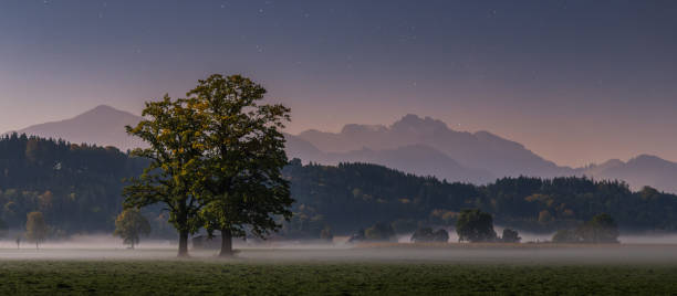 Mondlicht Trees in the moonlight in front of a mountain panorama mondlicht stock pictures, royalty-free photos & images