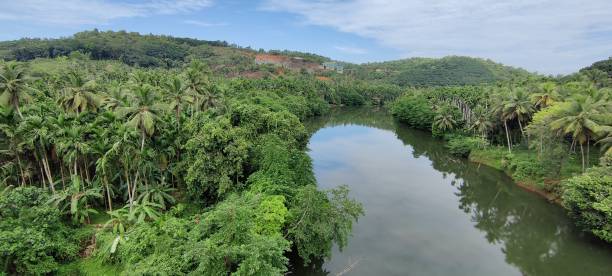 istock River passing between the hills and plants under the sky beautiful nature 1399877229