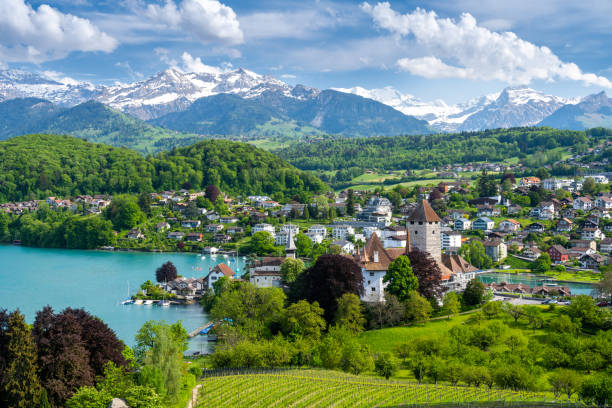 amazing view on spiez town, thun lake and alps mountains in switzerland - berne switzerland thun jungfrau imagens e fotografias de stock