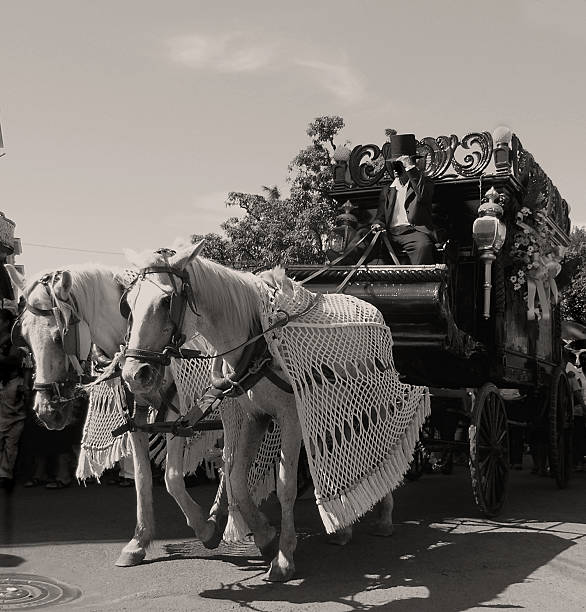 old wagon old funeral wagon granada nicaragua hearse photos stock pictures, royalty-free photos & images