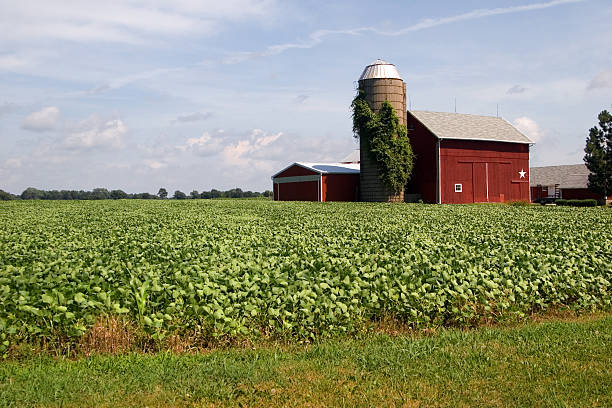 istock Red barn and green field on a farm in Illinois 139987902