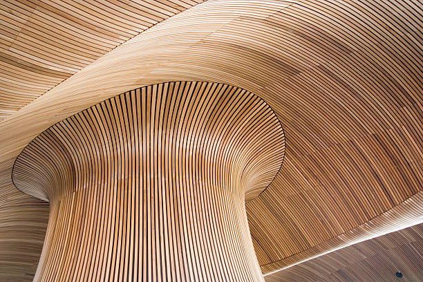 Architectural details of Welsh Assembly Building, Cardiff Bay, UK. Ceiling details of Welsh Assembly Government Building. Reflecting the forms of a sandy beach. wood paneling photos stock pictures, royalty-free photos & images