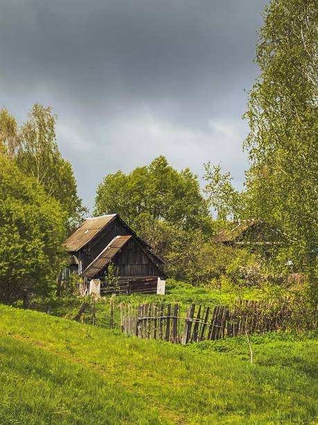 Old authentic wooden house in Carpathian mountains, Ukraine, Europe. Scenic landscape green fir trees sunny day Eco Local countryside tourism hiking forest trails Cottagecore Zakarpattya region travel