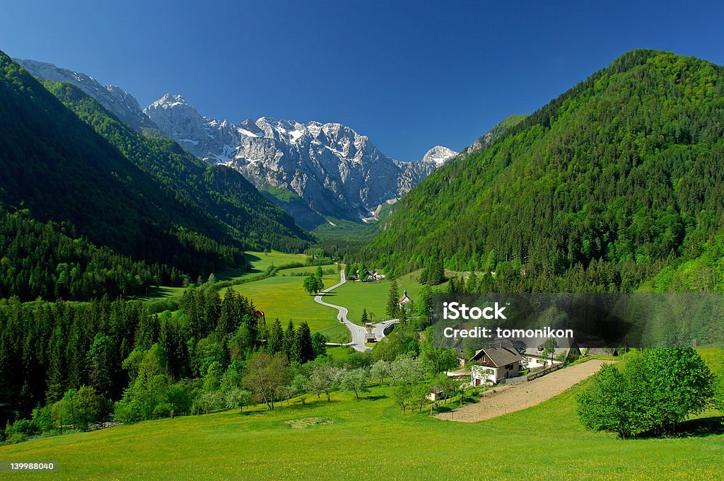 Spring in alpine valley Alpine Logarska valley in Slovenia in the end of May Slovenia Stock Photo
