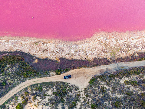 Aerial view Hutt Lagoon Pink Lake, with 4WD stationary on sandy track, Port Gregory, Western Australia. Pink colour in water caused by naturally occurring algae, 