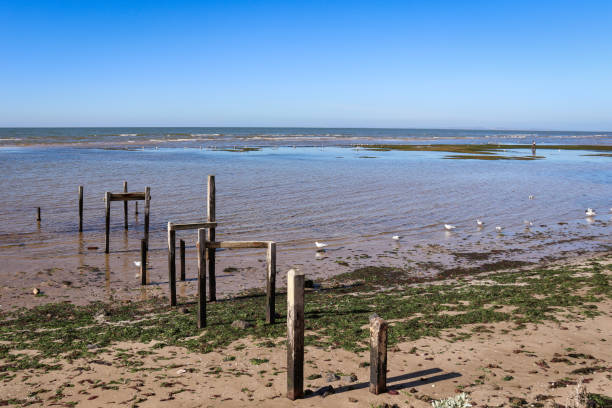 istock remains of pier at sea 1399882883