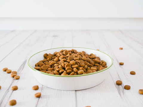Dry cat food in a white porcelain bowl, on the light floor with copyspace for text.