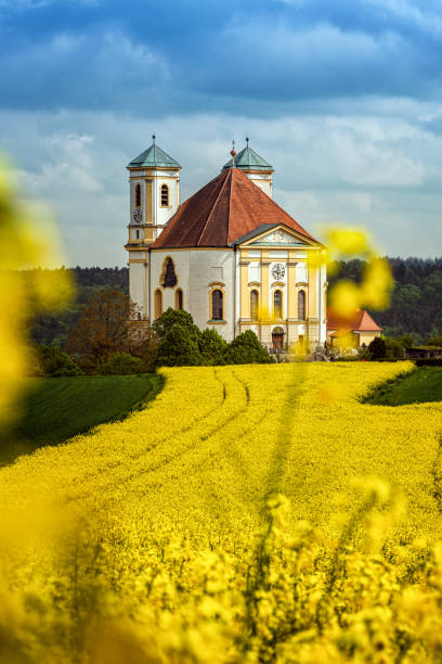 Germany, Bavaria, Burghausen. Marienberg Church surrounded by a rapeseed field. The Marienberg pilgrimage church is called the \