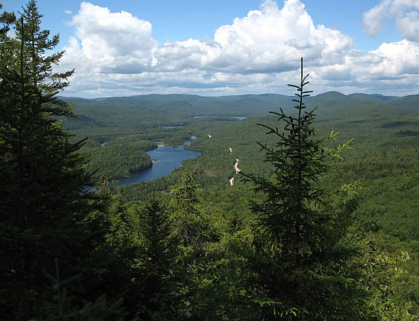 istock View over green mountain valley 139988835