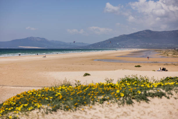 Traveling in Andalusia, Spain: the beach of Tarifa Traveling in Andalusia, Spain: the beach of Tarifa tarifa stock pictures, royalty-free photos & images