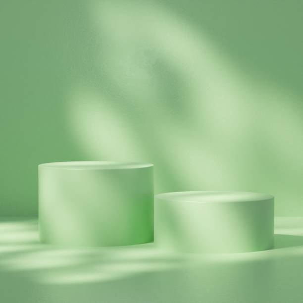 istock Abstract geometric composition with branch and shadow on the wall, Natural stone step pedestal. 3D render. Mock up for exhibitions. 1399890131