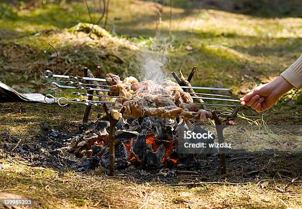 Kebab De Cozinhado - Fotografias de stock e mais imagens de Adulto - Adulto, Ao Ar Livre, Assado