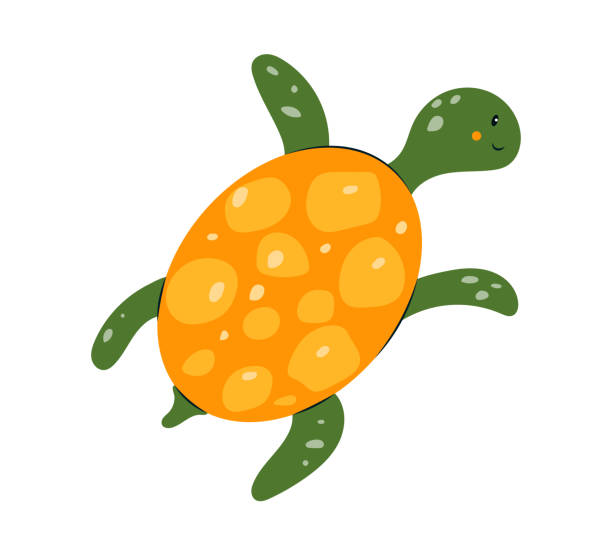 56 Turtle Top View Illustrations & Clip Art - iStock | Sea turtle top view