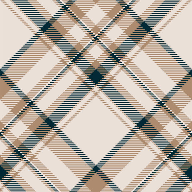 ilustraciones, imágenes clip art, dibujos animados e iconos de stock de vector de patrón plaid. compruebe la textura de la tela. diseño textil sin costuras para ropa, impresión de papel. - plaid