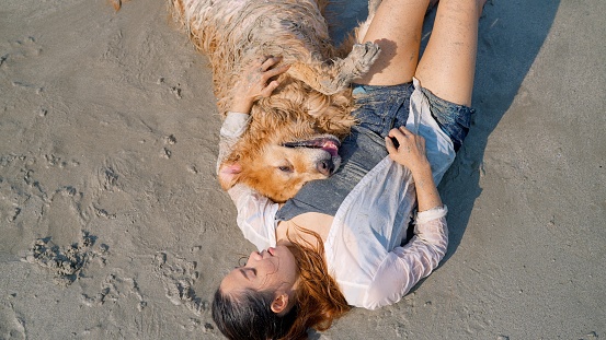 Happy female owner lie down on the sandy beach with loyal golden retriever dog hugging sweet pet on chest with love taking holiday together in the sea, Friendship and best friends with pets concept