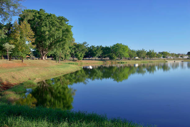 istock Stunning natural park with a lake 1399893735