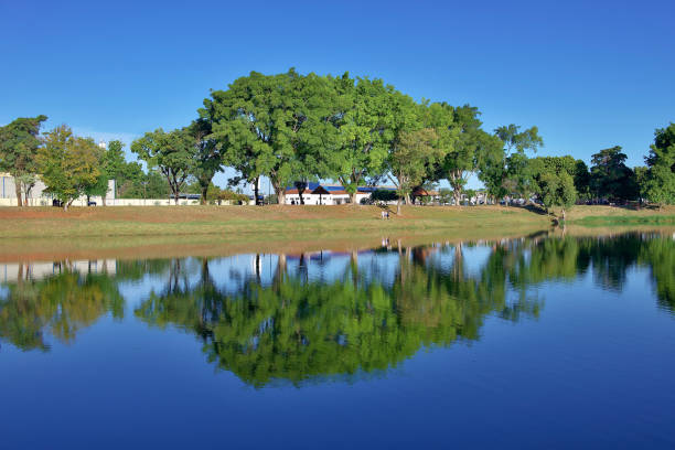 istock Stunning natural park with a lake 1399893738