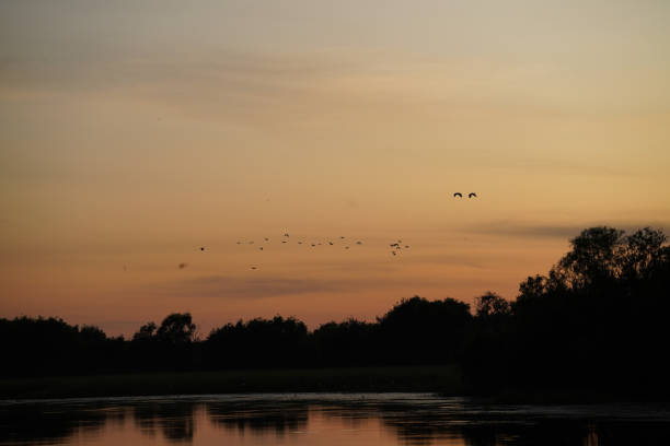 istock The sun setting over the water with birds flying in the sky 1399893850