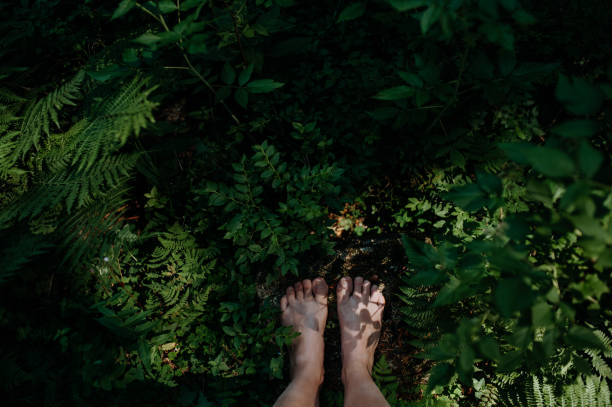 เท้าเปล่าของผู้หญิงยืนเท้าเปล่ากลางแจ้งในธรรมชาติแนวคิดสายดิน - forest bathing ภาพสต็อก ภาพถ่ายและรูปภาพปลอดค่าลิขสิทธิ์