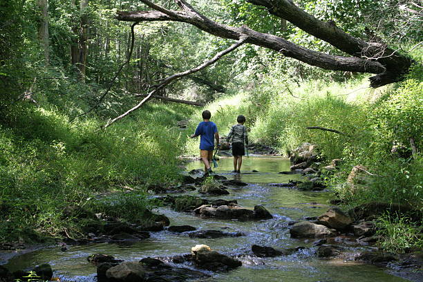 Photo of Children exploring a stream