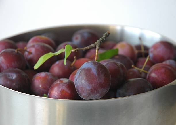 Plums stock photo