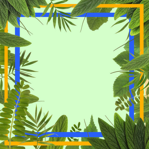 istock Beautiful plant leaves frame copy space background with blue and yellow square frames. Botanic layout with empty space on green backdrop. Natural concept idea 1399898366