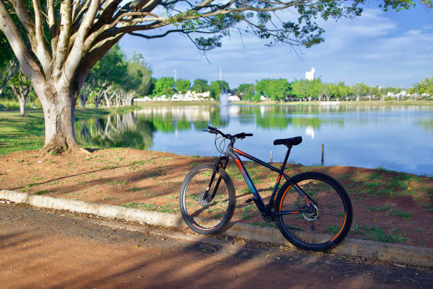 istock Bicycle at a natural park 1399898613