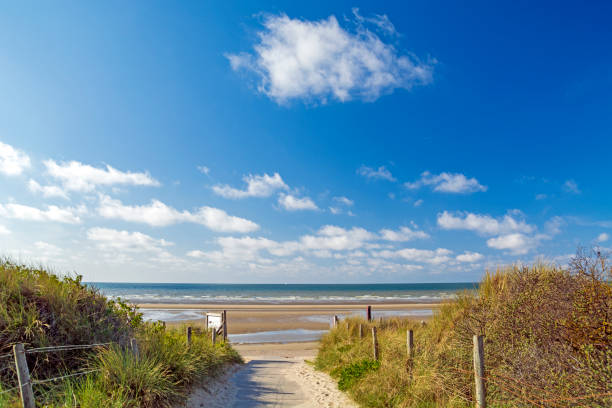 istock Dune landscape at De Panne, North Sea, in Belgium 1399898680