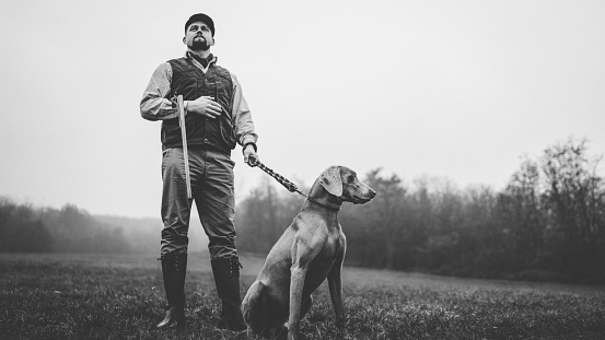 A hunter man with dog in traditional shooting clothes on field holding shotgun, black and white photo.