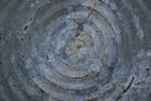istock weathered metal water bucket 139990591