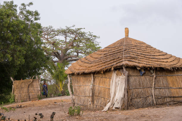 istock Sipo Island in Senegal 1399906515