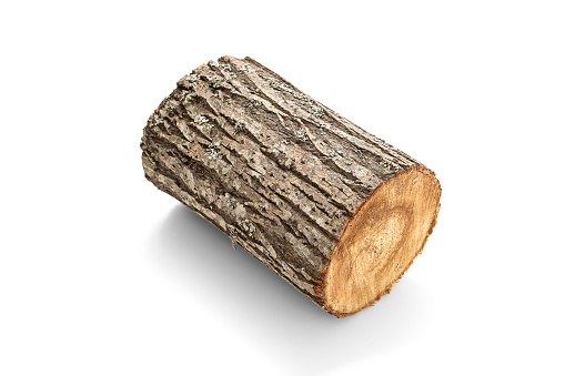 birch firewood background
