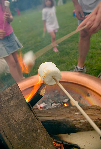 Roastin' Marshmallows stock photo