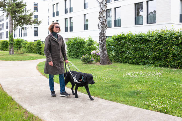 pies asystujący prowadzi niewidomą kobietę przez dzielnicę mieszkalną - blind trust zdjęcia i obrazy z banku zdjęć