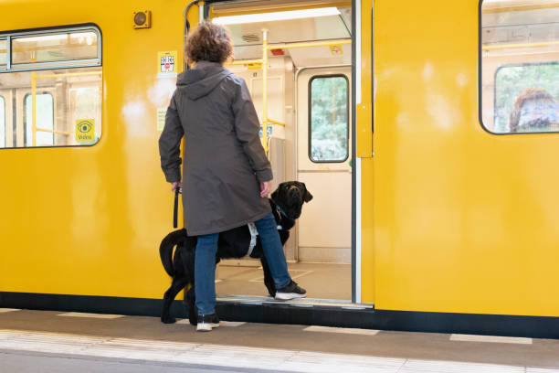 seeing eye dog leads a blind person along the railway track