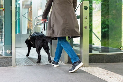 seeing eye dog leads a blind person to the lift on the railway track