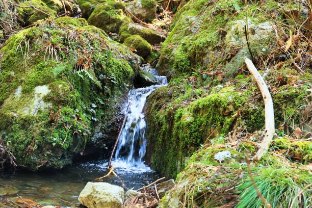 istock Mossy rocks and a beautiful stream of pure murmuring 1399910575