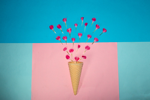 cone spray with pink petals on a pink-blue background, creative summer design, party time