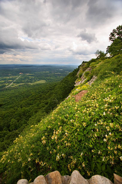 istock Sunlit Meadow as viewed from Lookout Mountain Georgia 139991228
