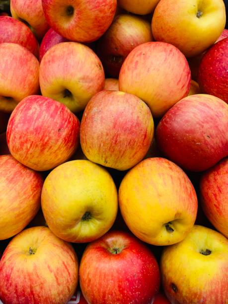 chiudi le mele rosse della varietà jonagold sul bancone del mercato degli agricoltori. prodotto naturale, frutta di stagione, cibo locale. - jona gold foto e immagini stock