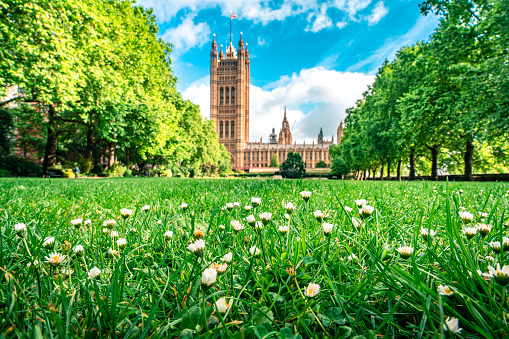 View on the British Parliament with a large meadow with green grass