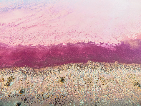 Aerial view directly above Hutt Lagoon Pink Lake, Port Gregory, Western Australia. Pink colour caused by naturally occurring algae, 
