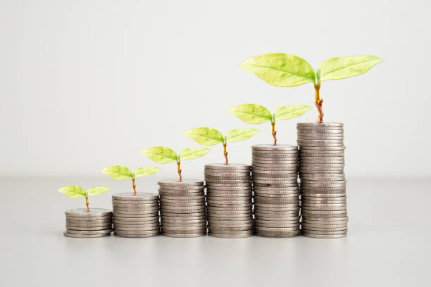 istock green seed growth on coins stack with white background. money saving. business investment successful growing concept. 1399914769