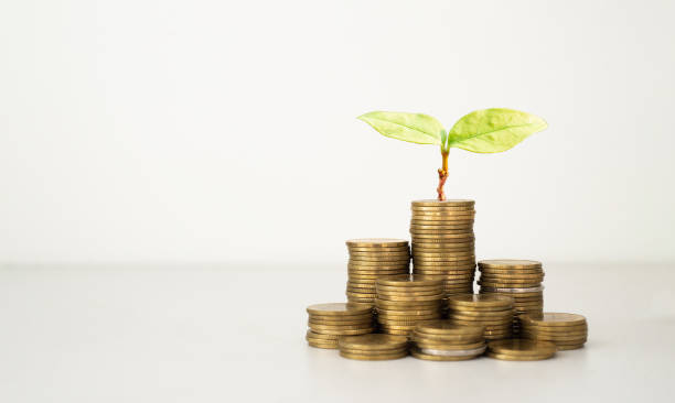 istock green seed growth on coins stack with white background. money saving. business investment successful growing concept. 1399914796