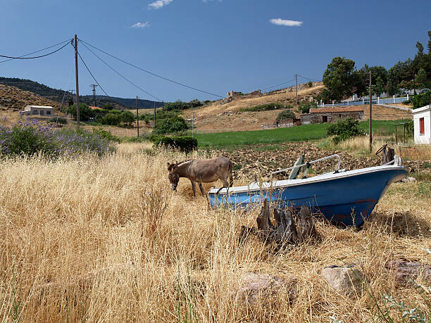 greek landscape with boat and donkey stock photo