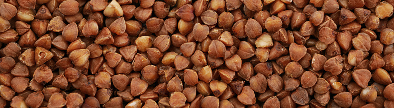 Panoramic image of closeup of buckwheat grains