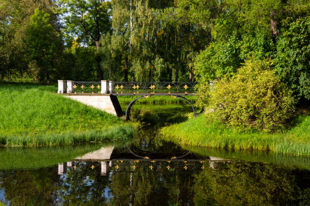 istock Beautiful green park in summer, cut trees and path 1399915858
