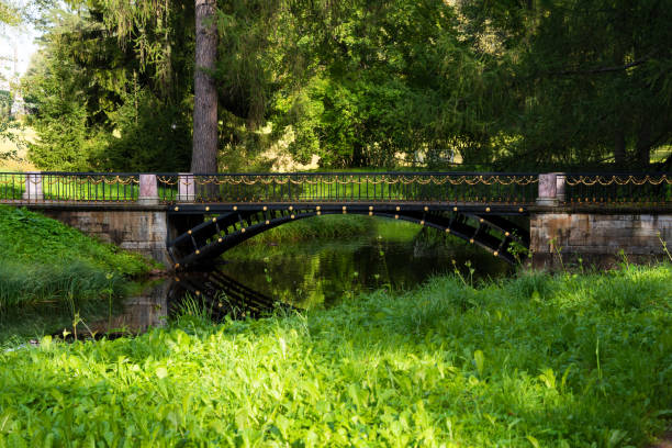istock Beautiful green park in summer, cut trees and path 1399915973