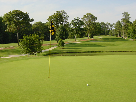 Golf course putting green with flag and ball near hole.