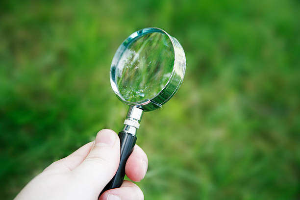 istock Hand holding small magnifying glass above grass 139991650